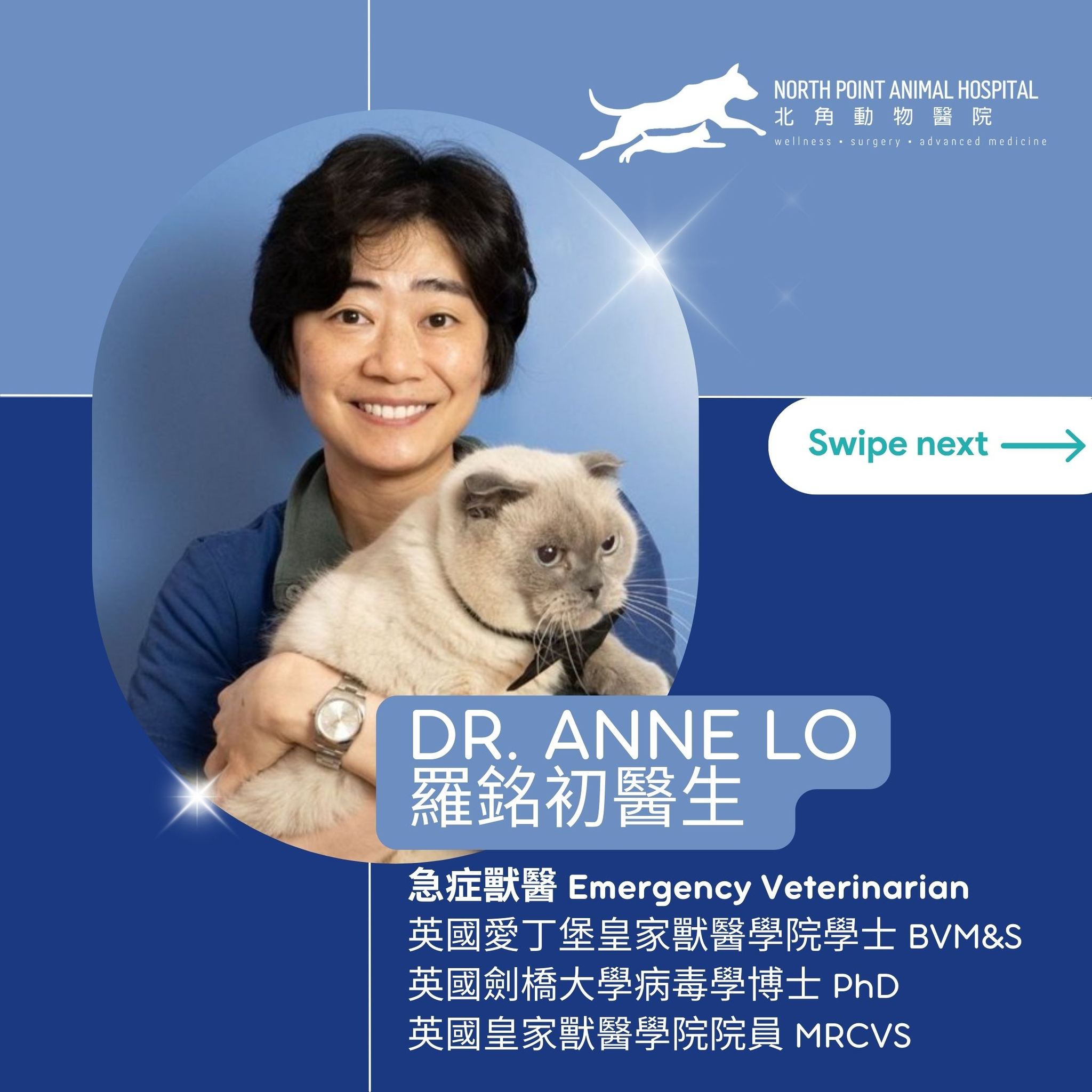 North Point Animal Hospital 北角動物醫院 Facebook ad