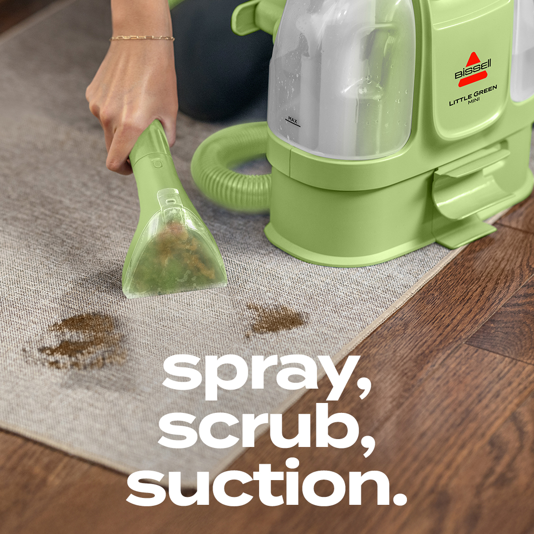 BISSELL Facebook ad