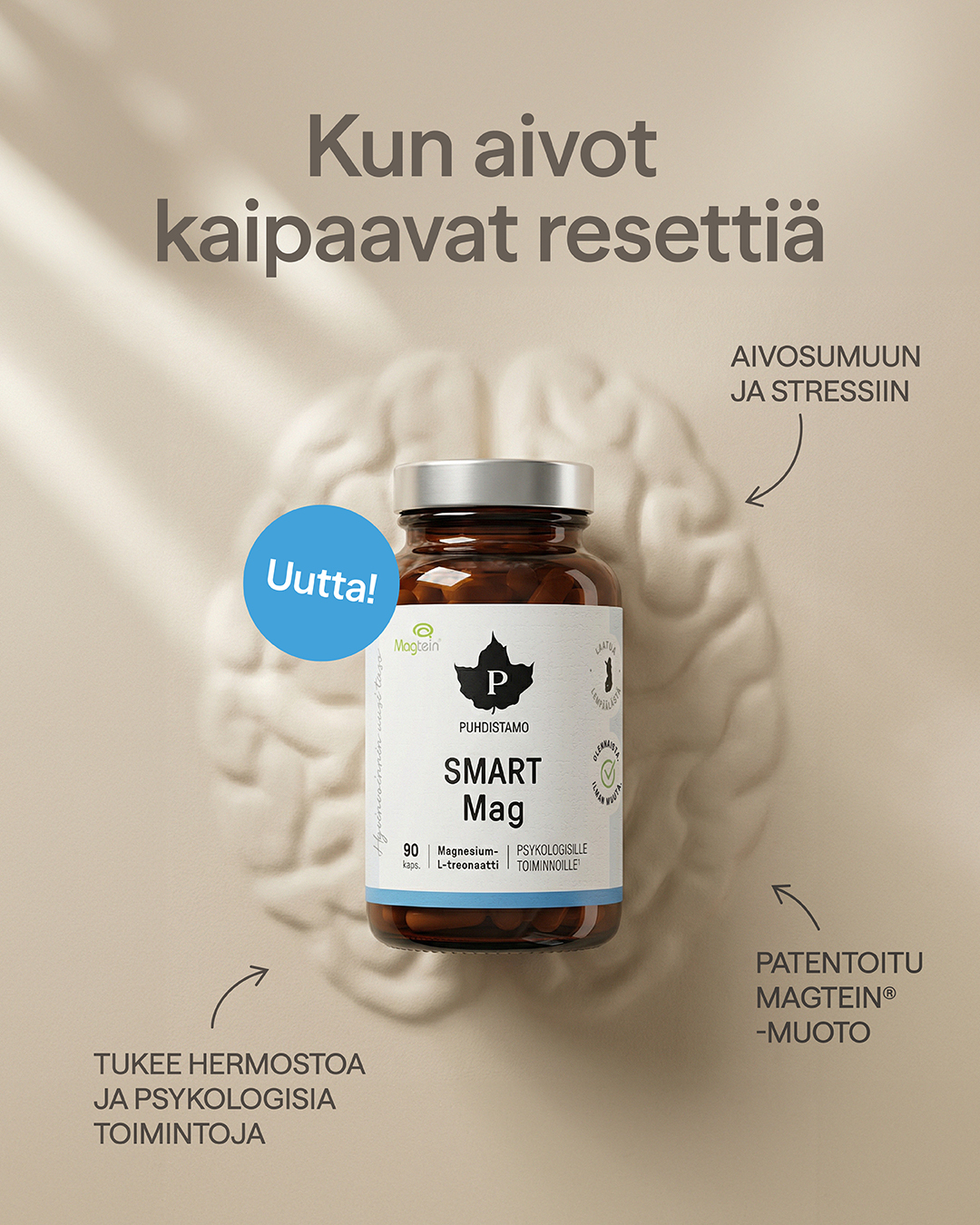 Puhdistamo Facebook ad from Mar 23, 2026
