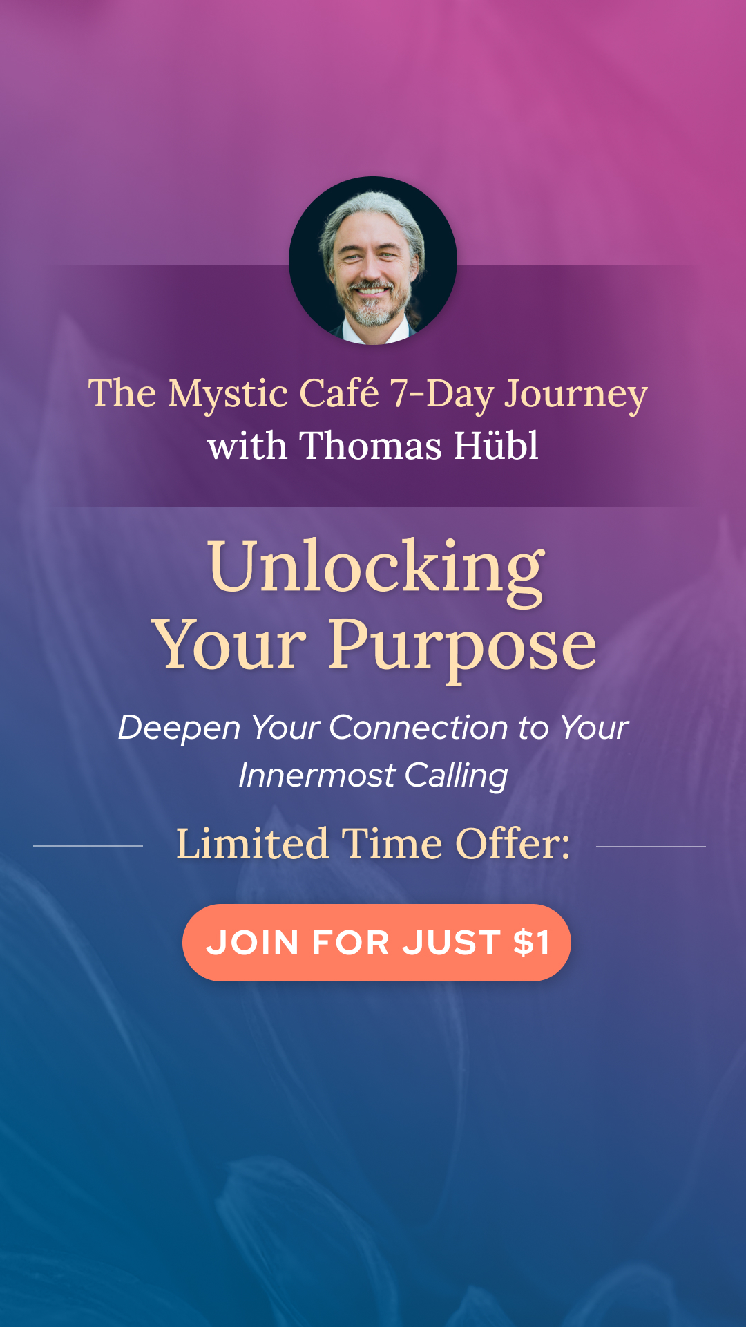 Thomas Hübl Facebook ad from Jun 6, 2026