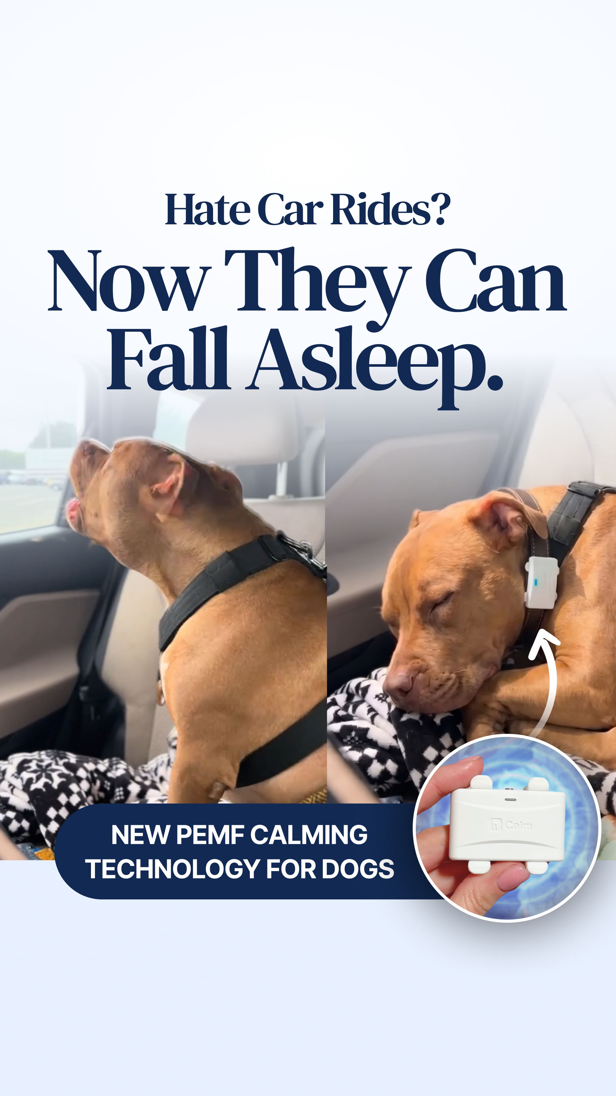 Helio Pet Facebook ad