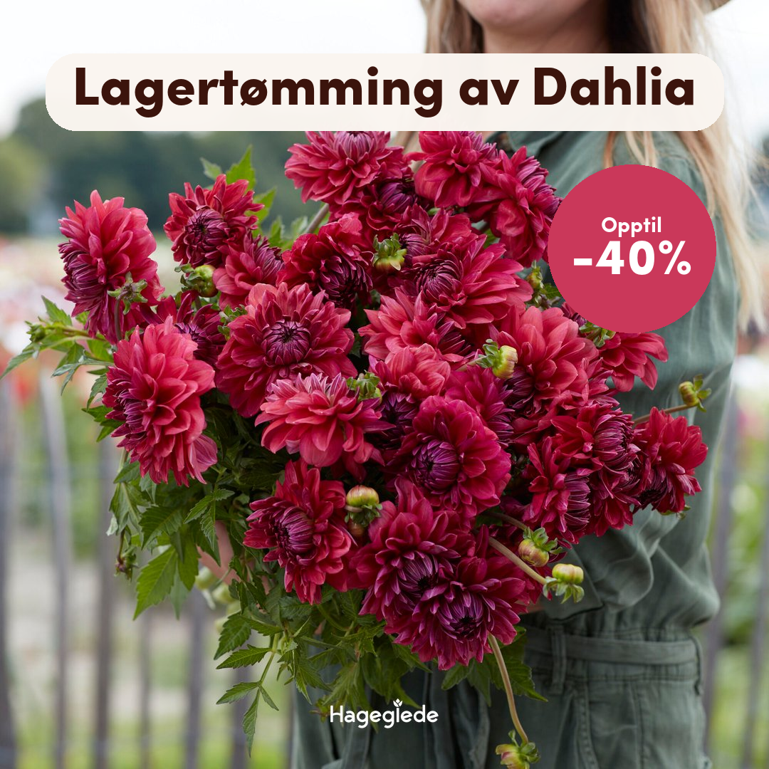Hageglede.no Facebook ad: Lagertømming, opptil -40%