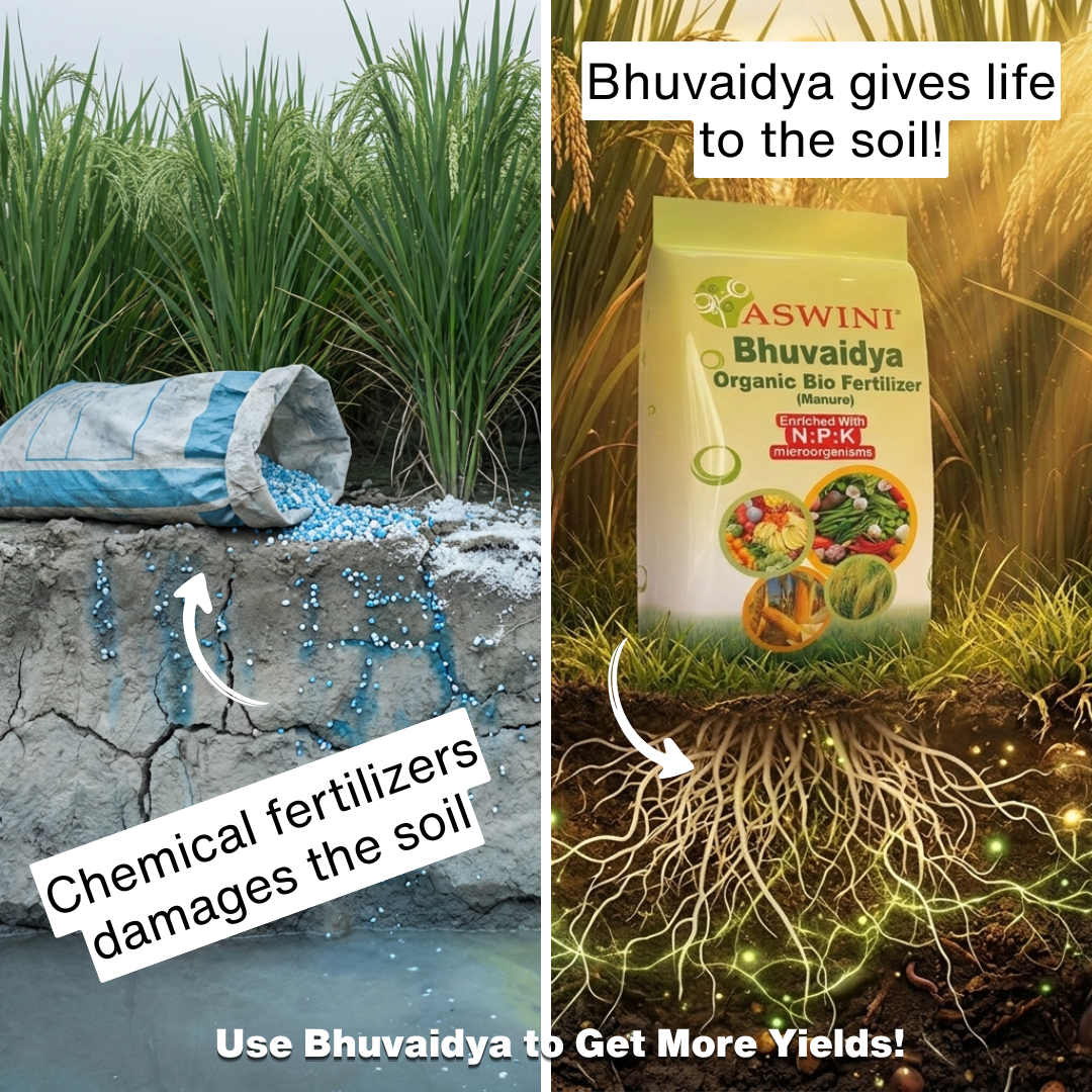 Aswini Bhuvaidya Facebook ad
