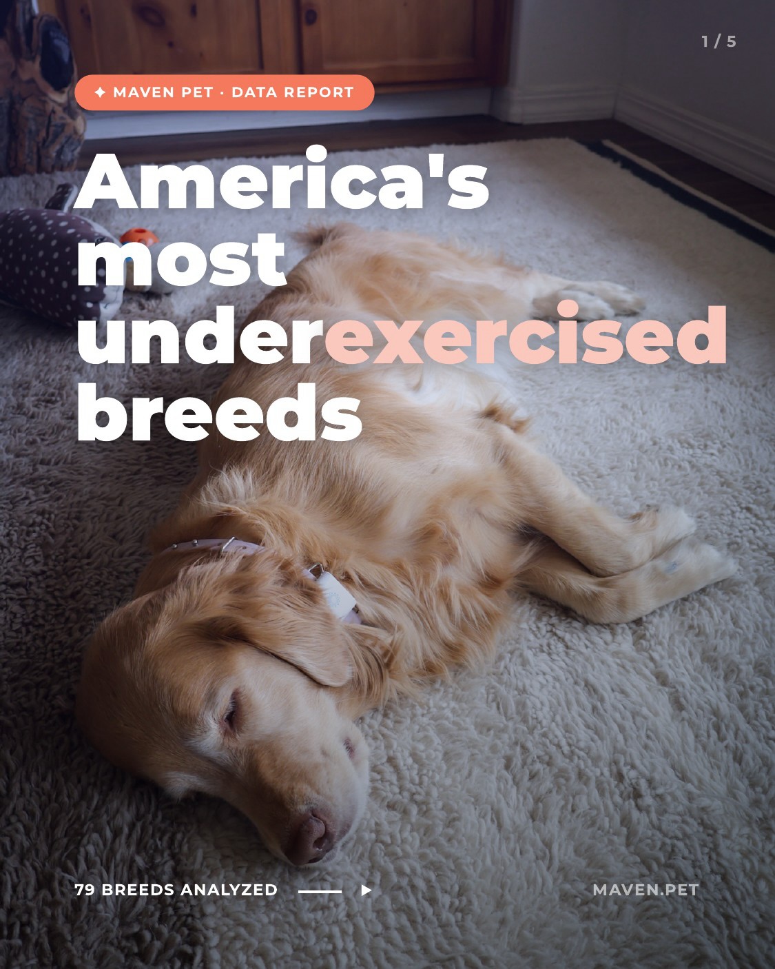 Maven Pet Facebook ad