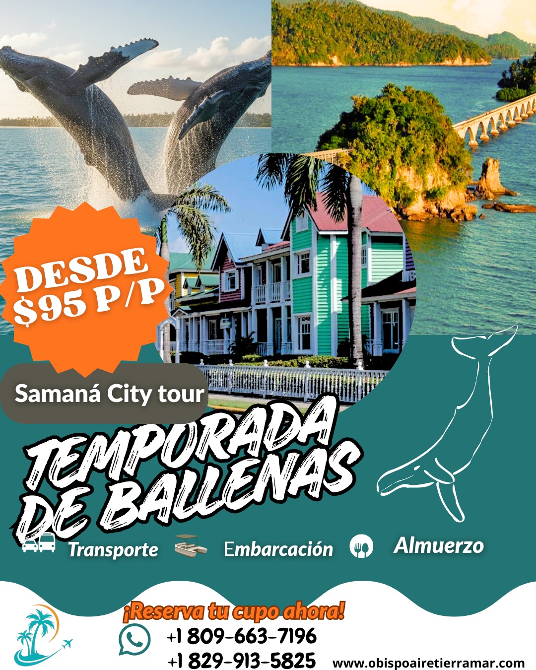 Obispo Atm Travel Tours Facebook ad: ¡VIVA LA MAGIA! Encuentro cercano con las Ballenas…