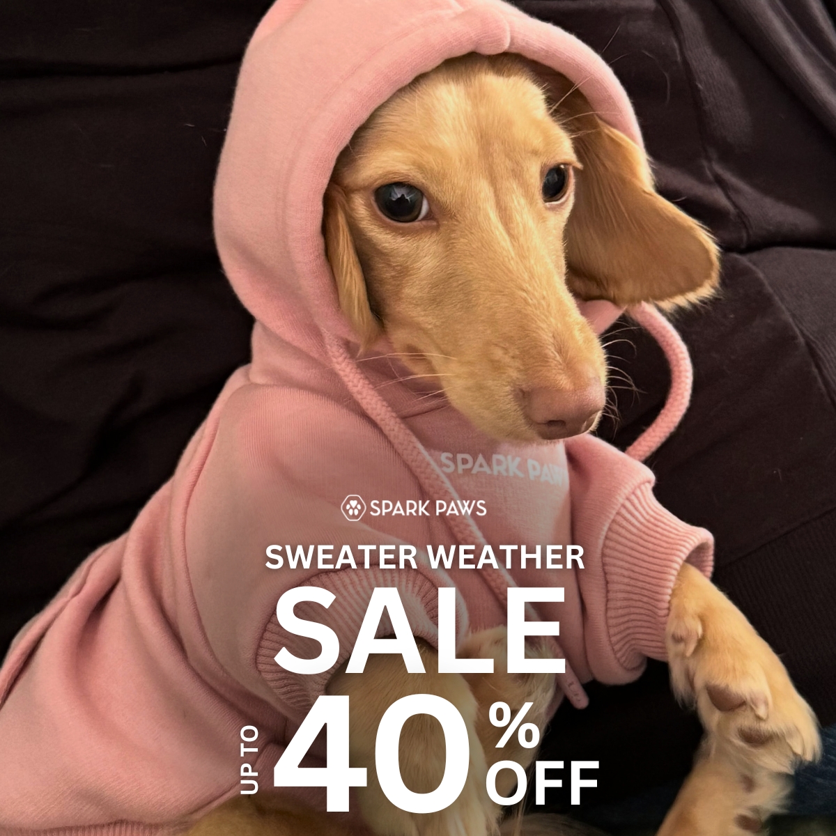 Spark Paws Facebook ad