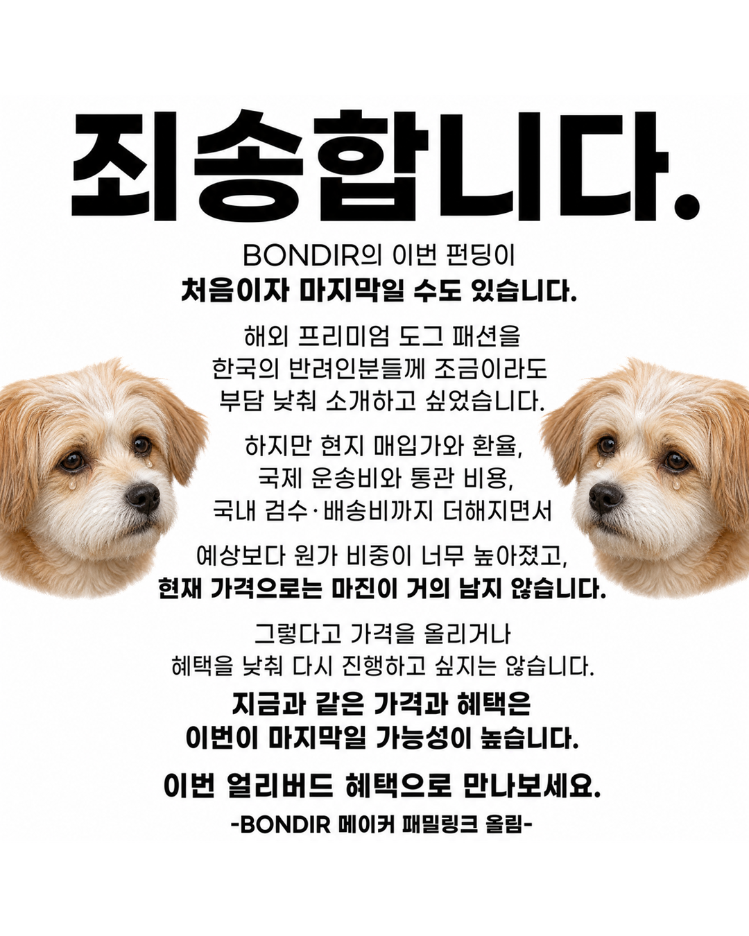 와디즈펀딩 Facebook ad: 최초 공개 | 하이엔드 도그 패션, Bondir