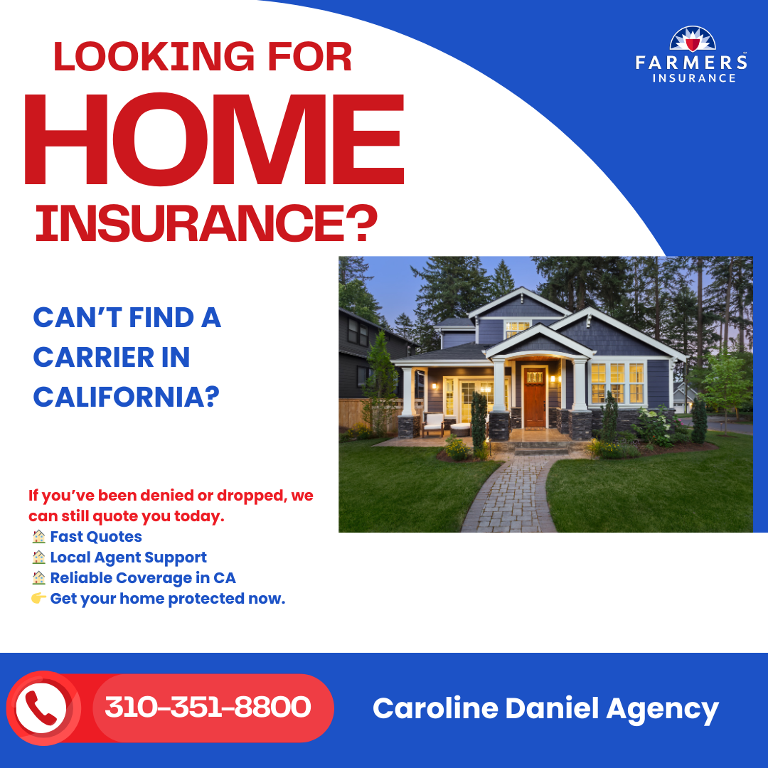 Caroline Daniel - Farmers Insurance Facebook ad: Protect Your Home