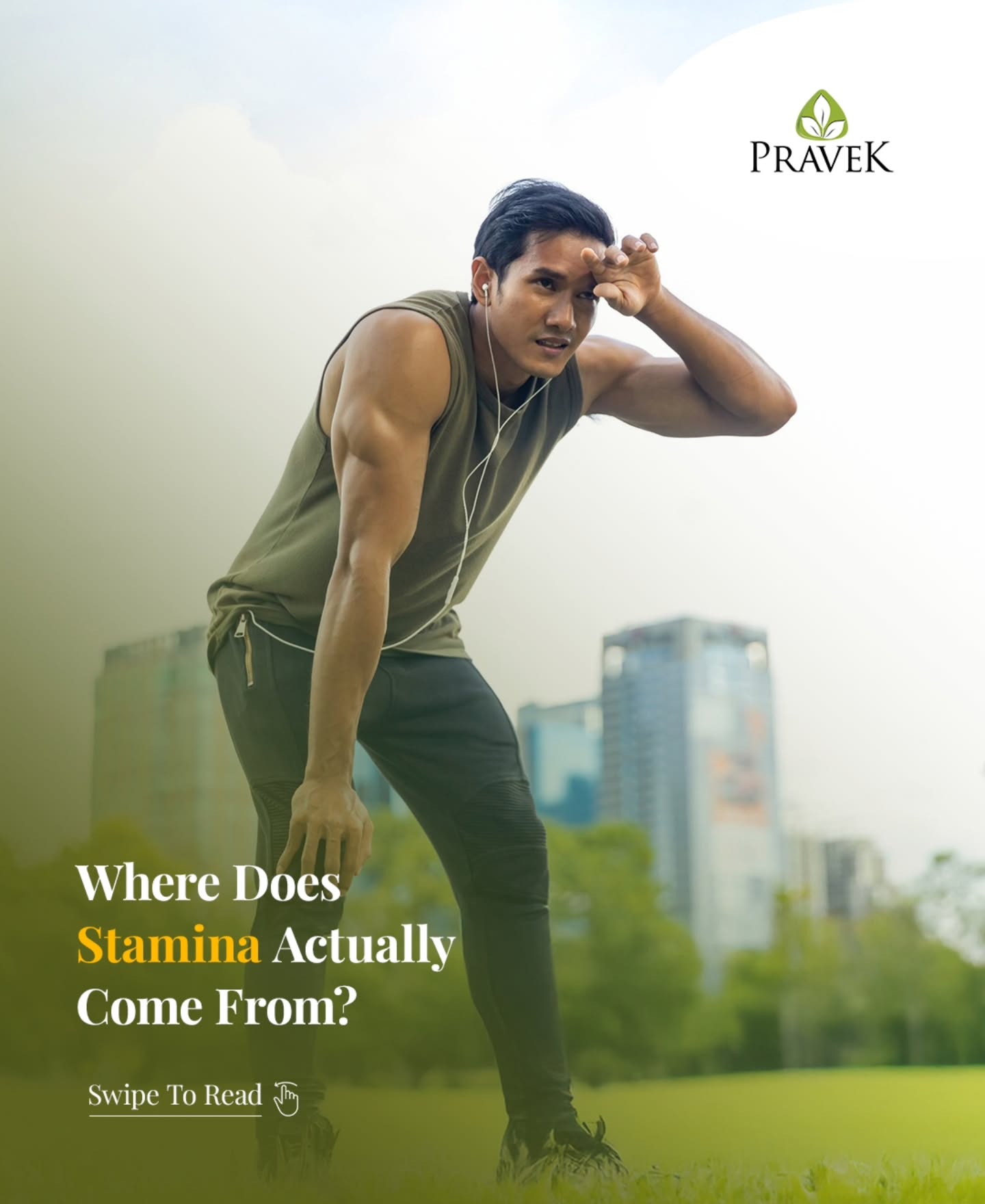 Pravek Facebook ad: Mental fog, low stamina and fading energy aren’t…