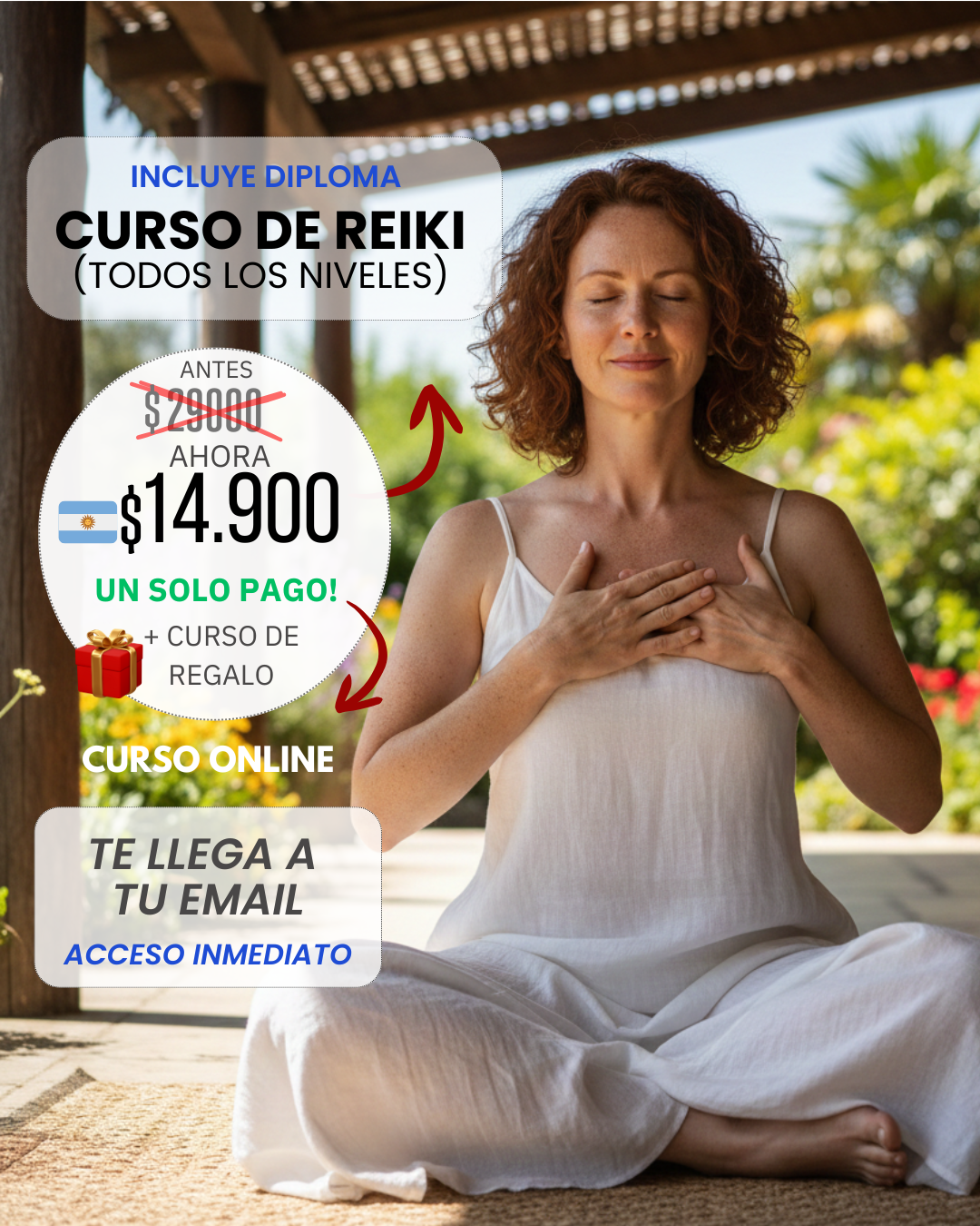 Instituto Holisticam Argentina Facebook ad from Feb 24, 2026