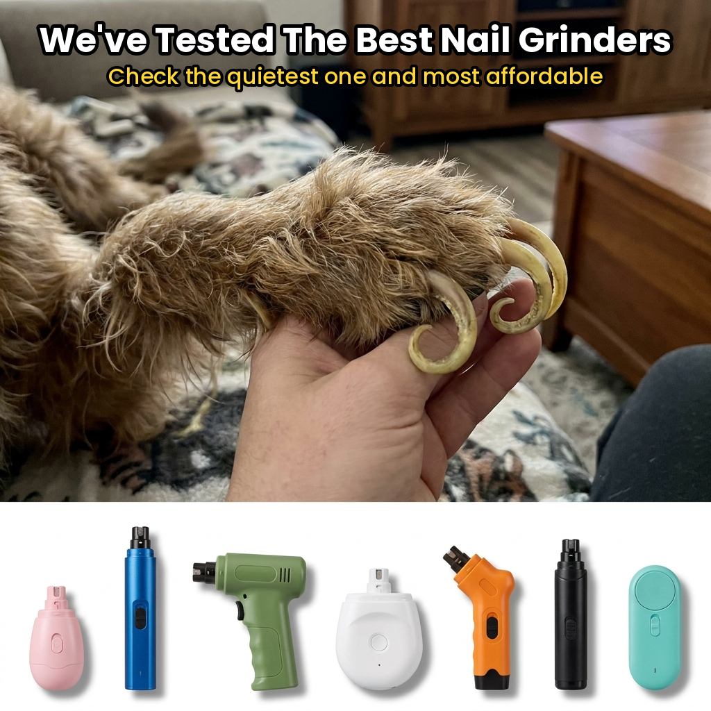 Bellasaysbest Facebook ad