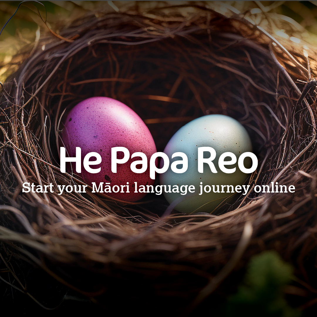 Te Wānanga o Aotearoa Facebook ad