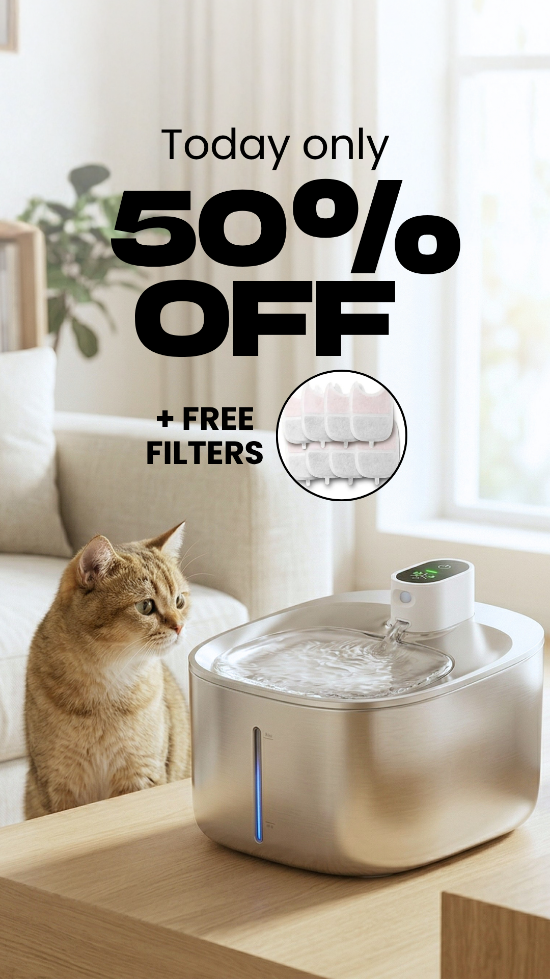 KittySpout Facebook ad