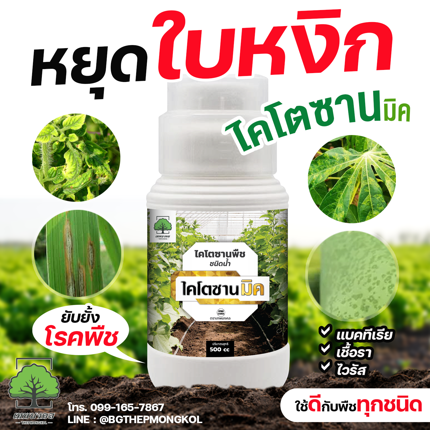 ไคโตซานมิค สูตรพรีเมี่ยม เพิ่มภูมิต้านทาน Facebook ad