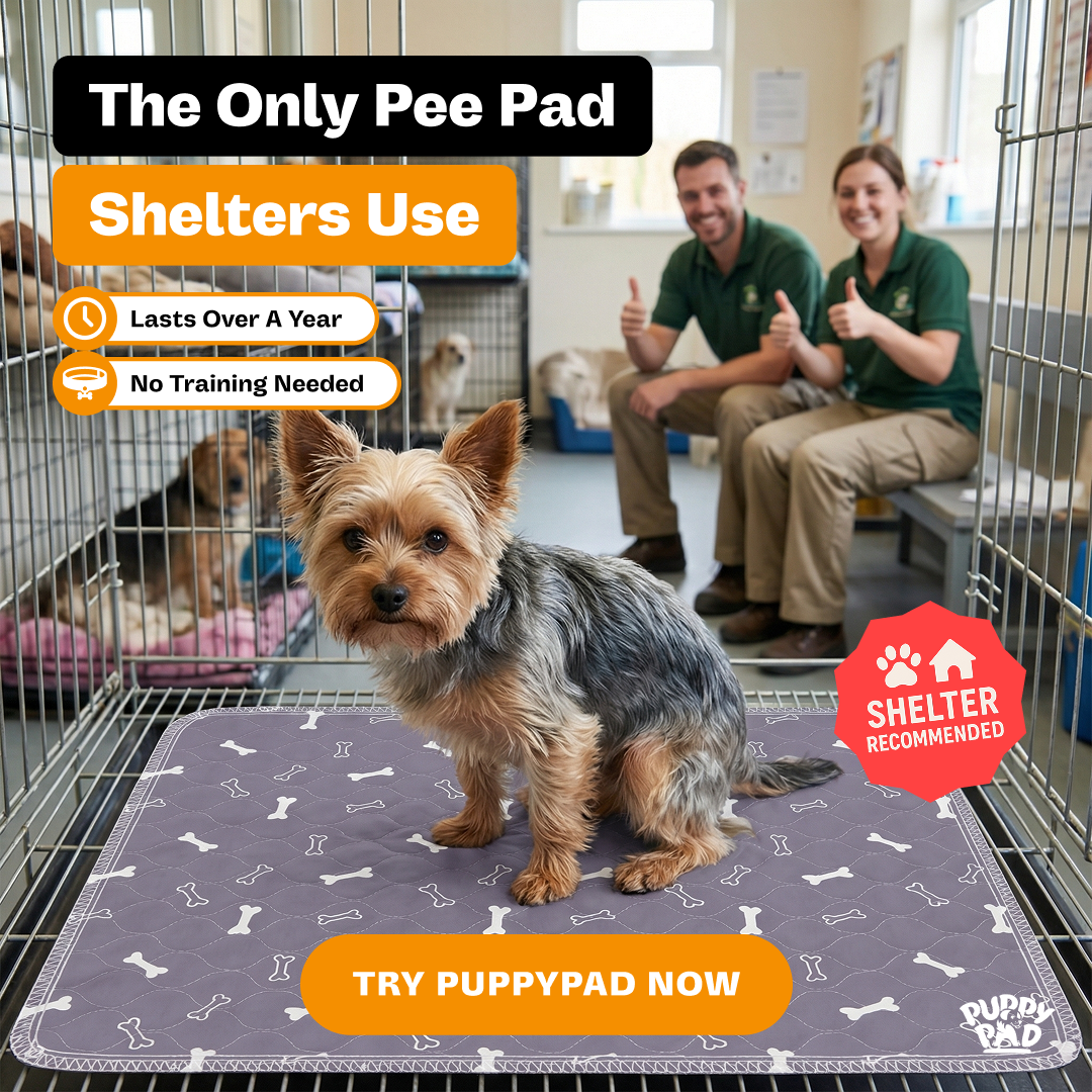 PuppyPad Facebook ad