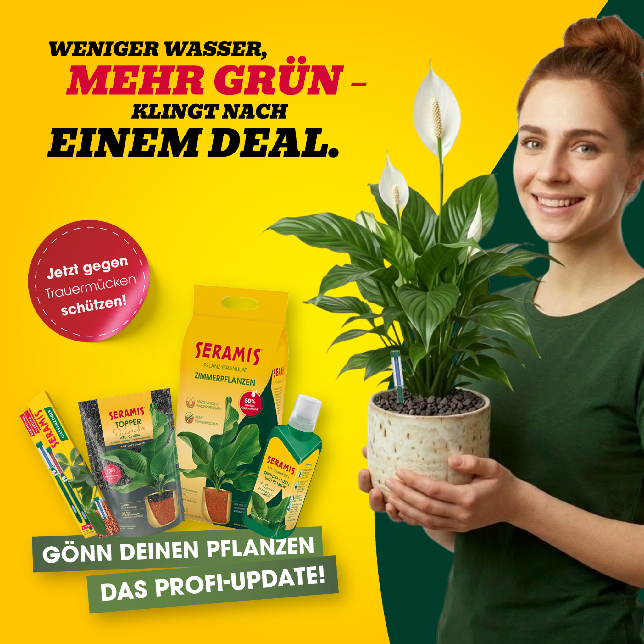SERAMIS Facebook ad: Zimmerpflanzen lieben SERAMIS: Granulat, Vitalnahrung und…