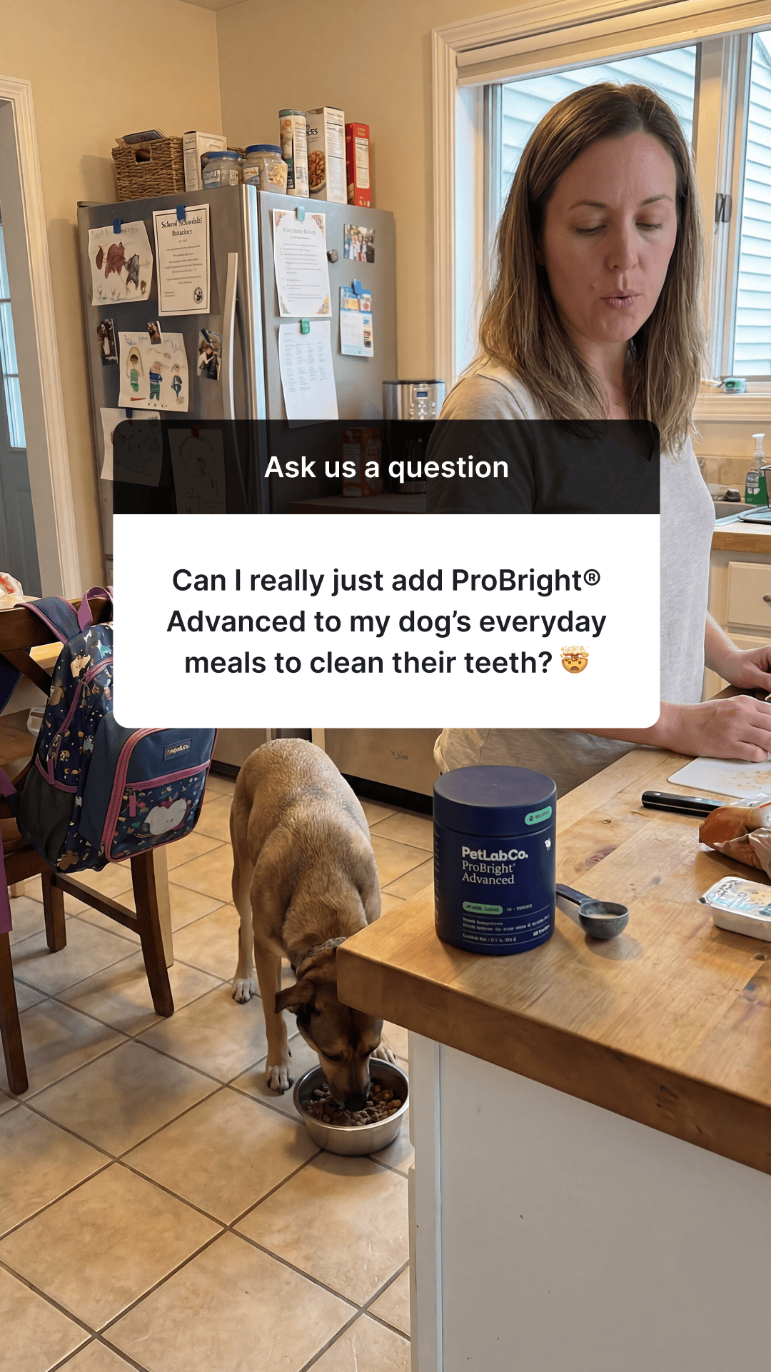 PetLab Co. Facebook ad