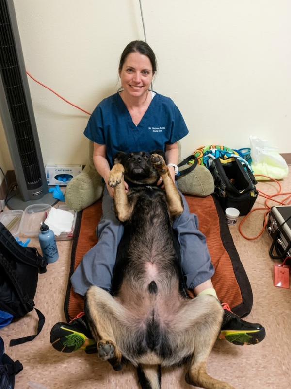 Dr. Laura Hastings Facebook ad