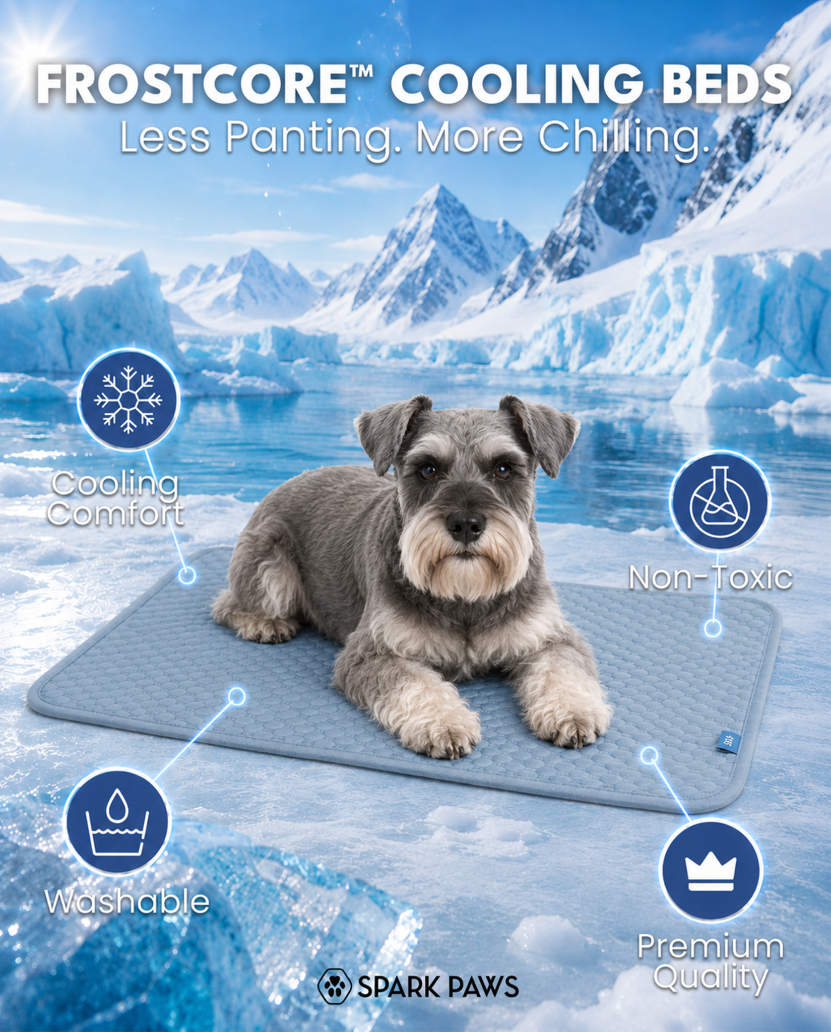 Spark Paws Facebook ad