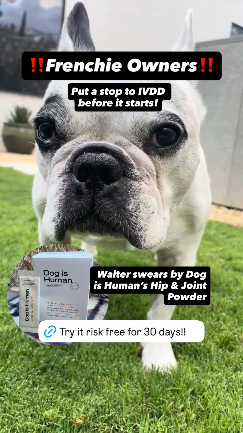 Dog is Human Facebook ad