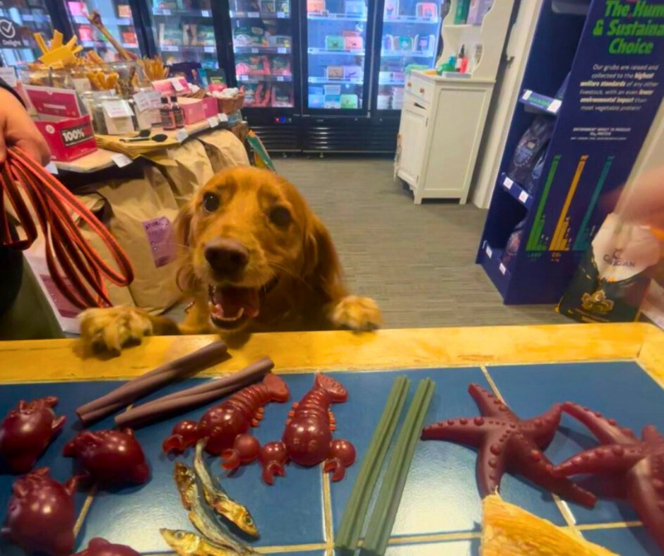 The Pets Larder Facebook ad