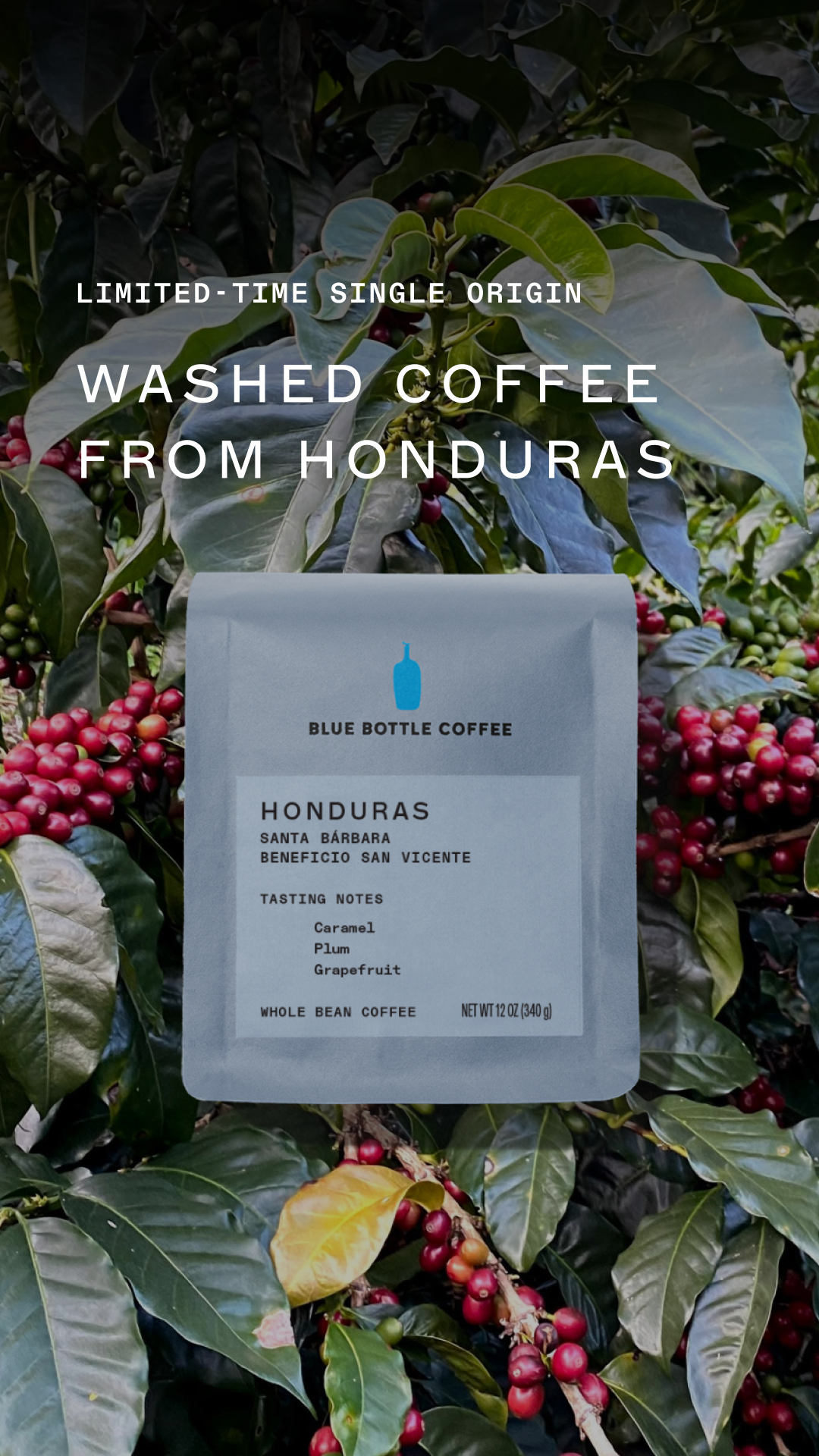 Blue Bottle Coffee Facebook ad