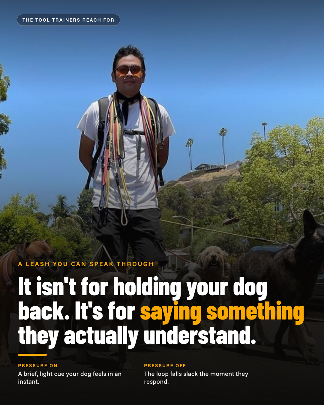 Mountain Dog Products Facebook ad