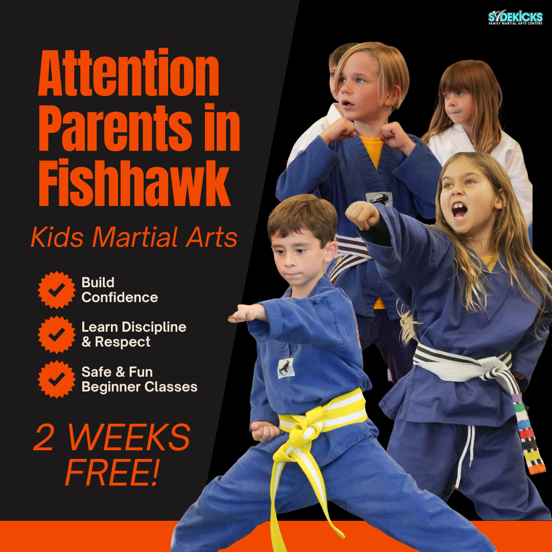 Sidekicks Family Martial Arts Center Facebook ad