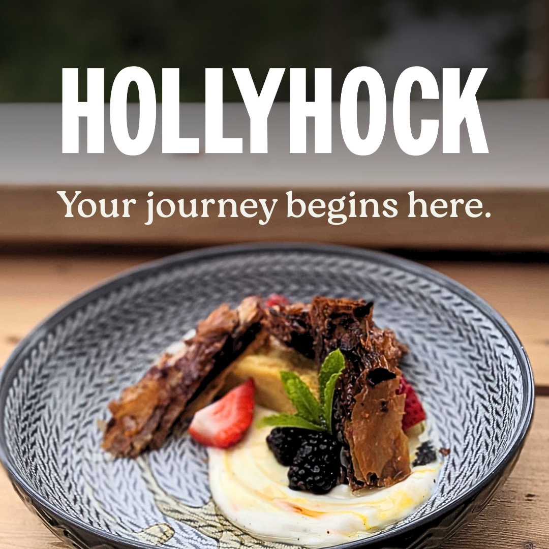 Hollyhock Facebook ad