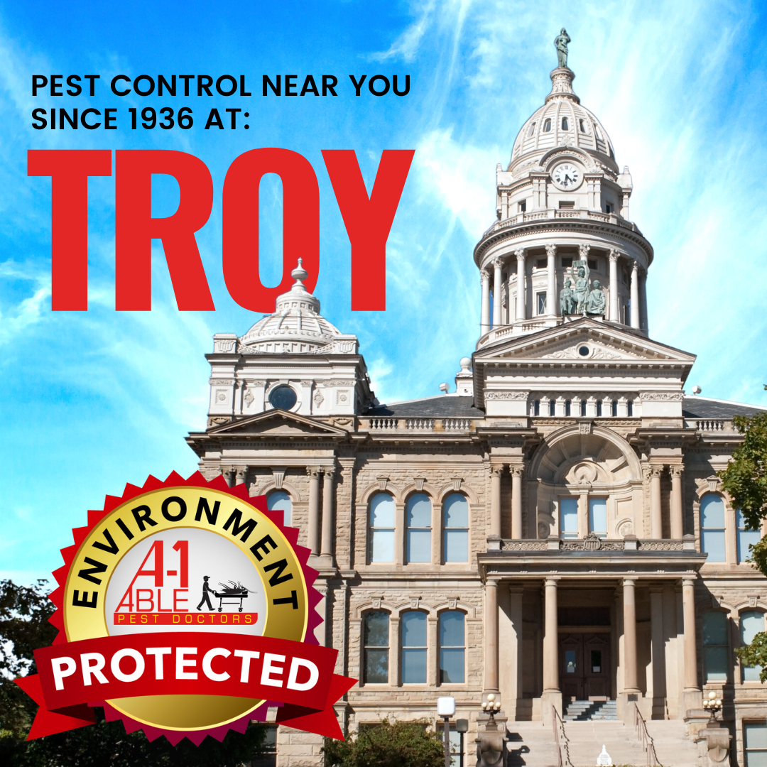 A1 Able Pest Doctors Facebook ad: The family owned pest control company protecting your…