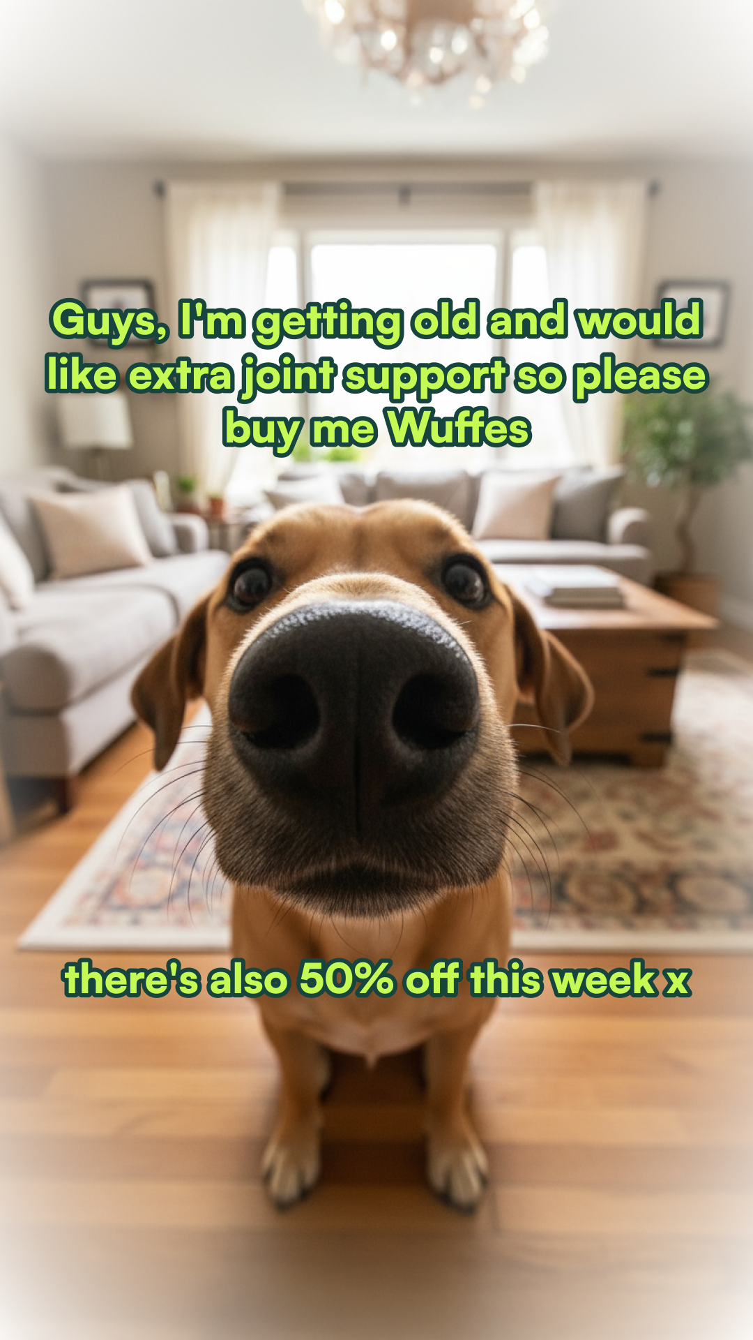 Wuffes Facebook ad