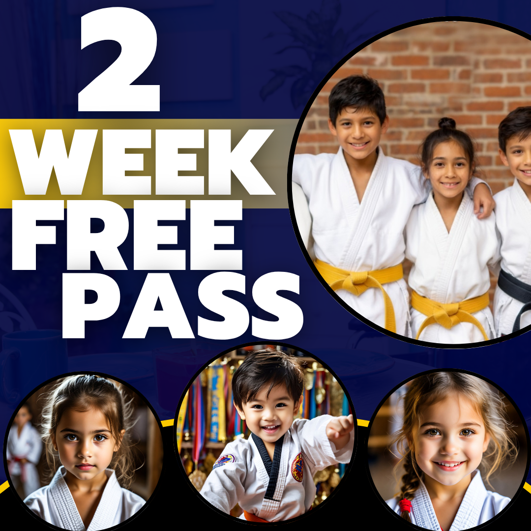 Success Martial Arts Facebook ad: 2 WEEKS OF FREE MARTIAL ARTS CLASSES!