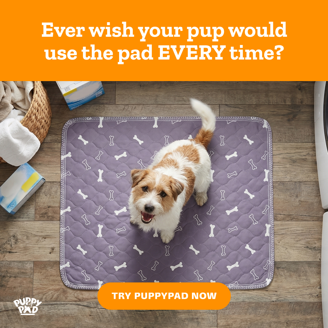 PuppyPad Facebook ad