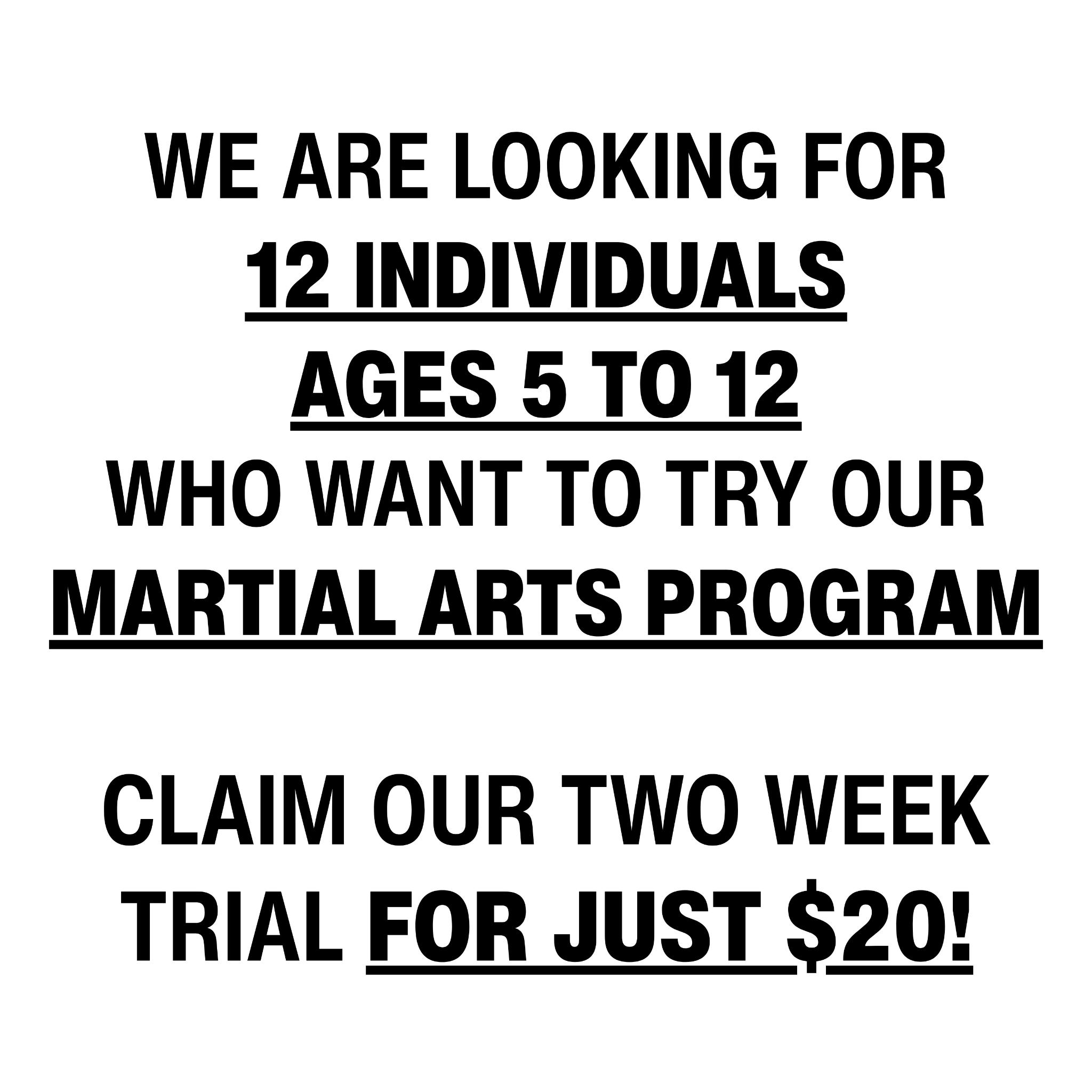 Orangevale Academy - Family Taekwondo Facebook ad