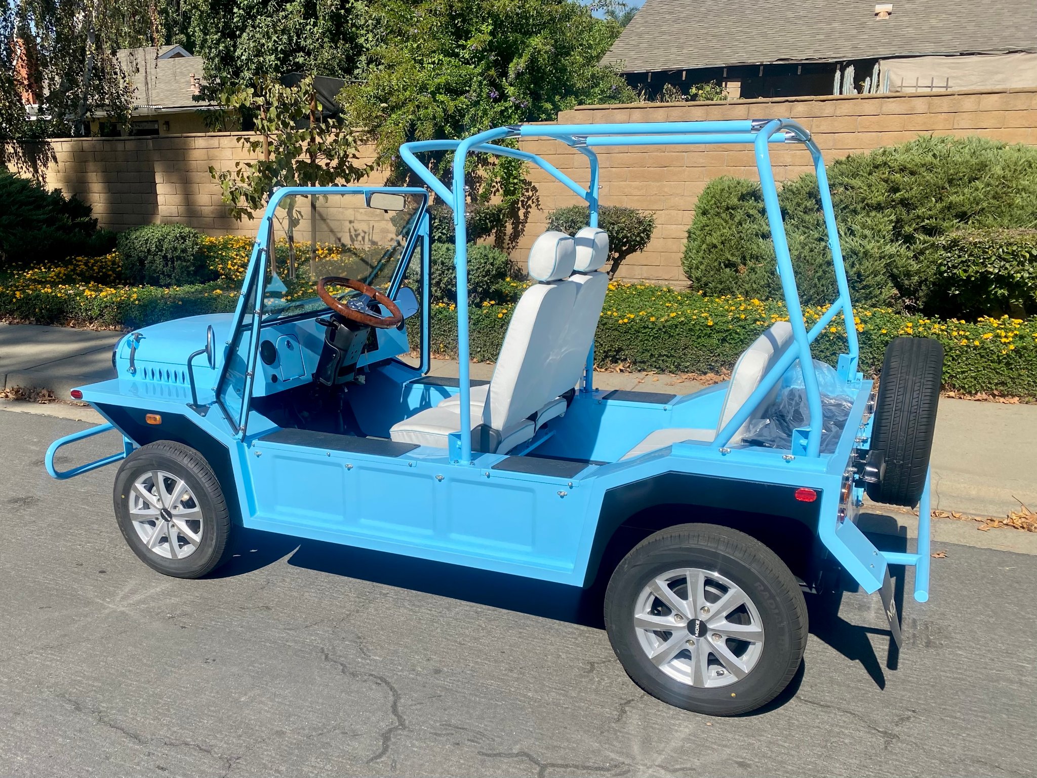 Ray Hoogenraad Facebook ad: 2026 moke street legal lithium battery and 1year warranty…