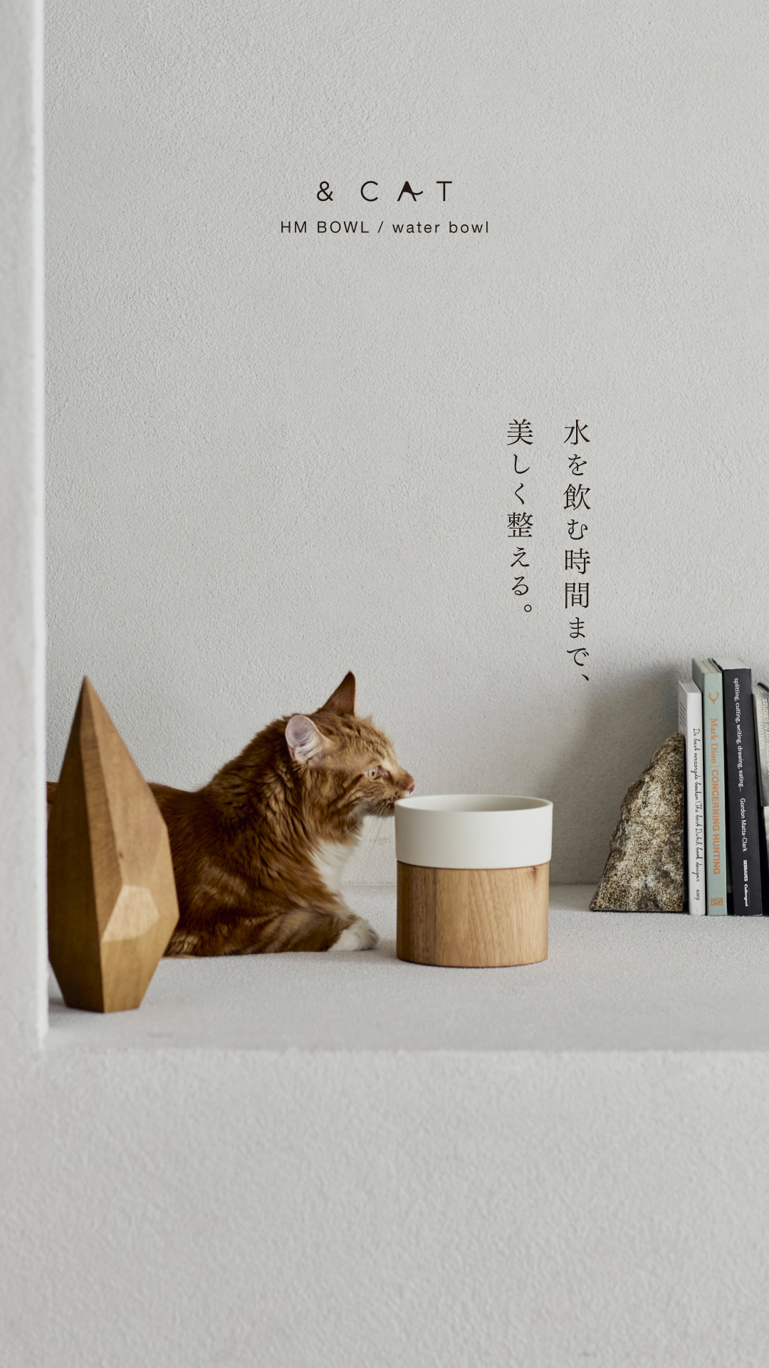 andcat_j Facebook ad