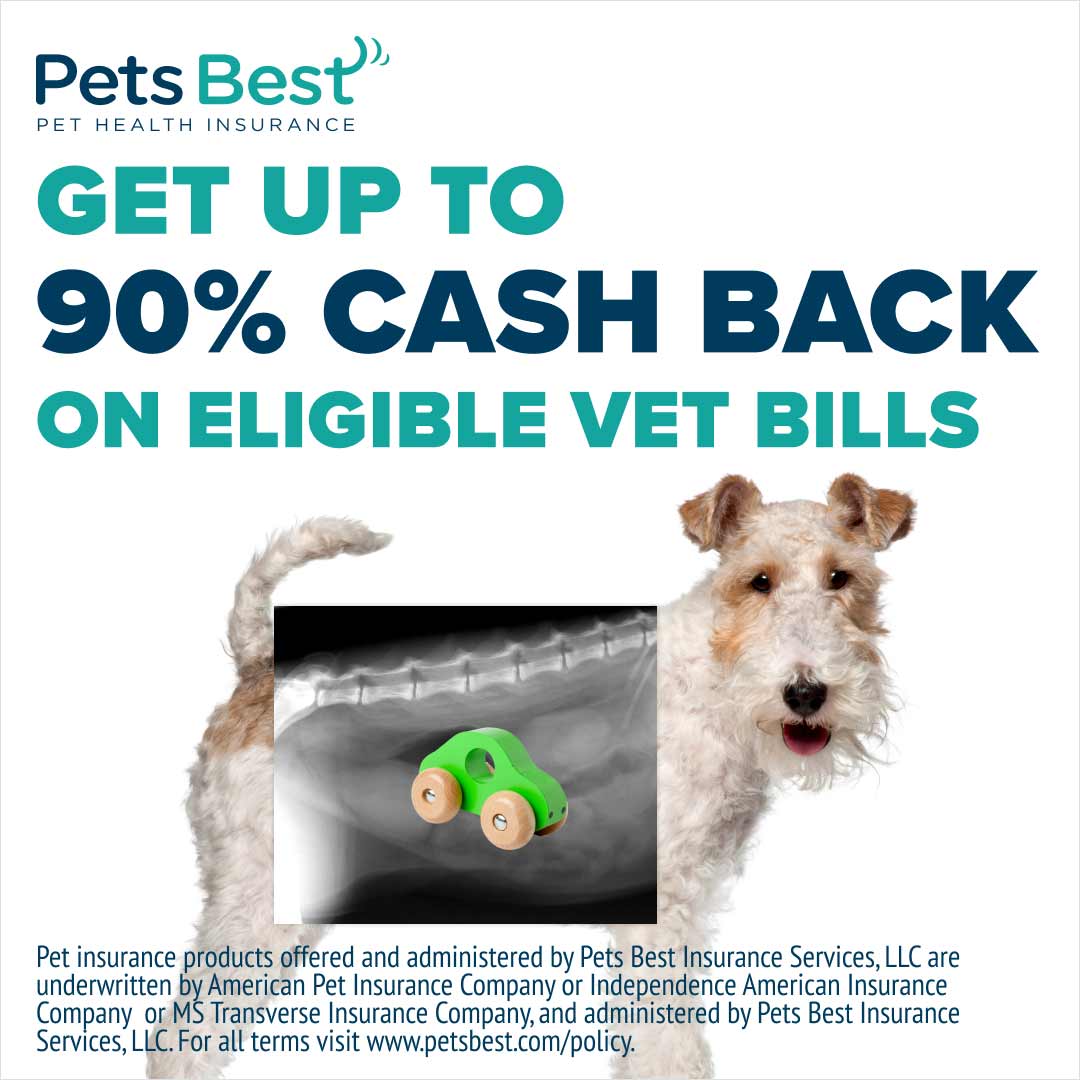 Pets Best Pet Health Insurance Facebook ad