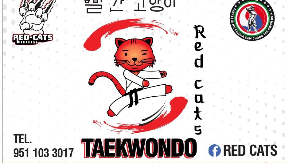 RED CATS taekwondo Facebook ad: Arte, disciplina y valores.