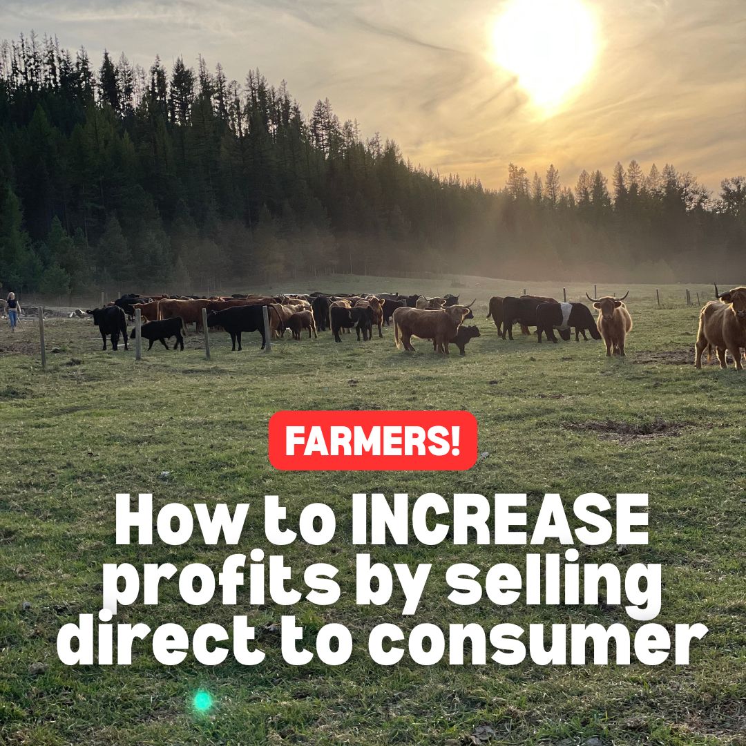 Sell Beef Direct Facebook ad