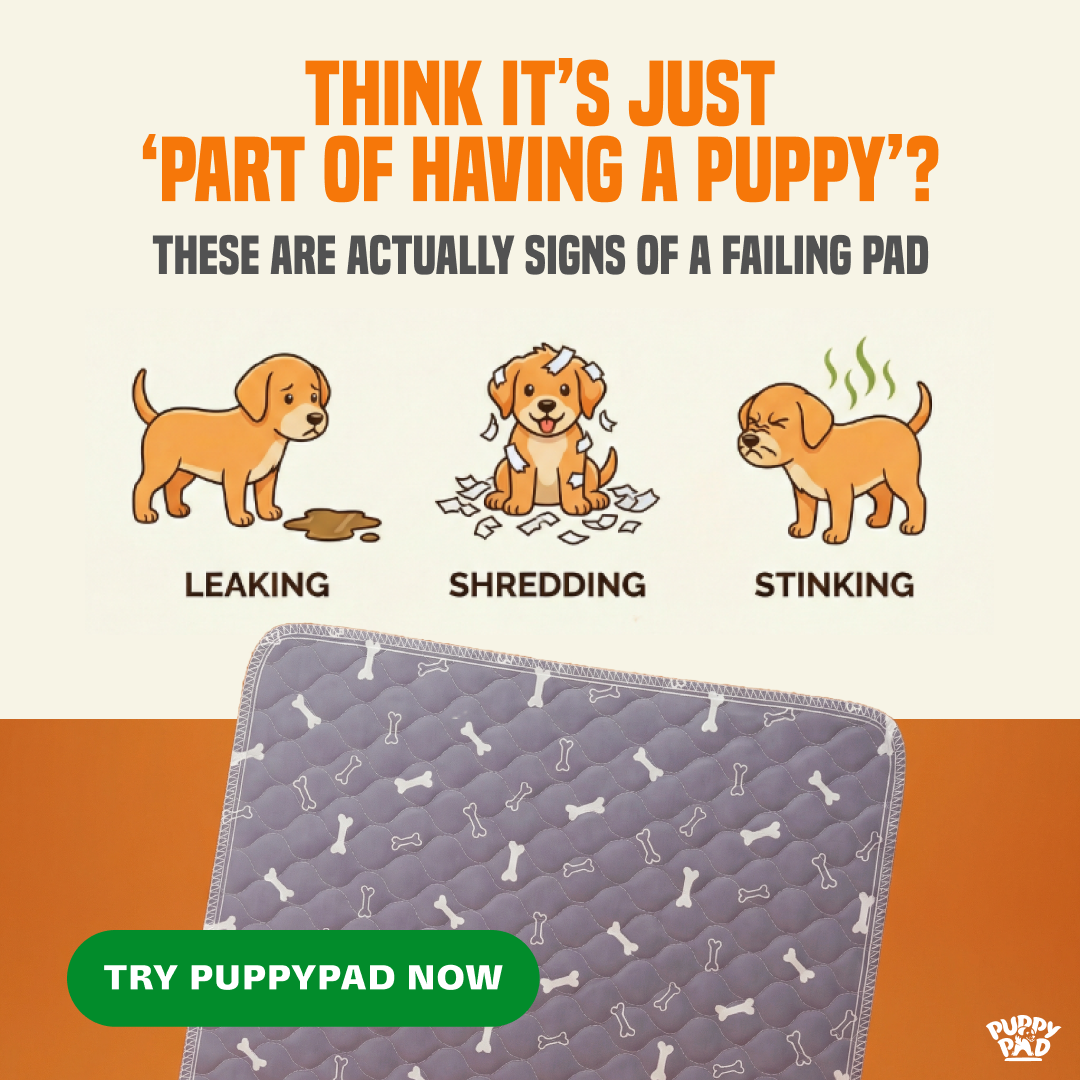 PuppyPad Facebook ad