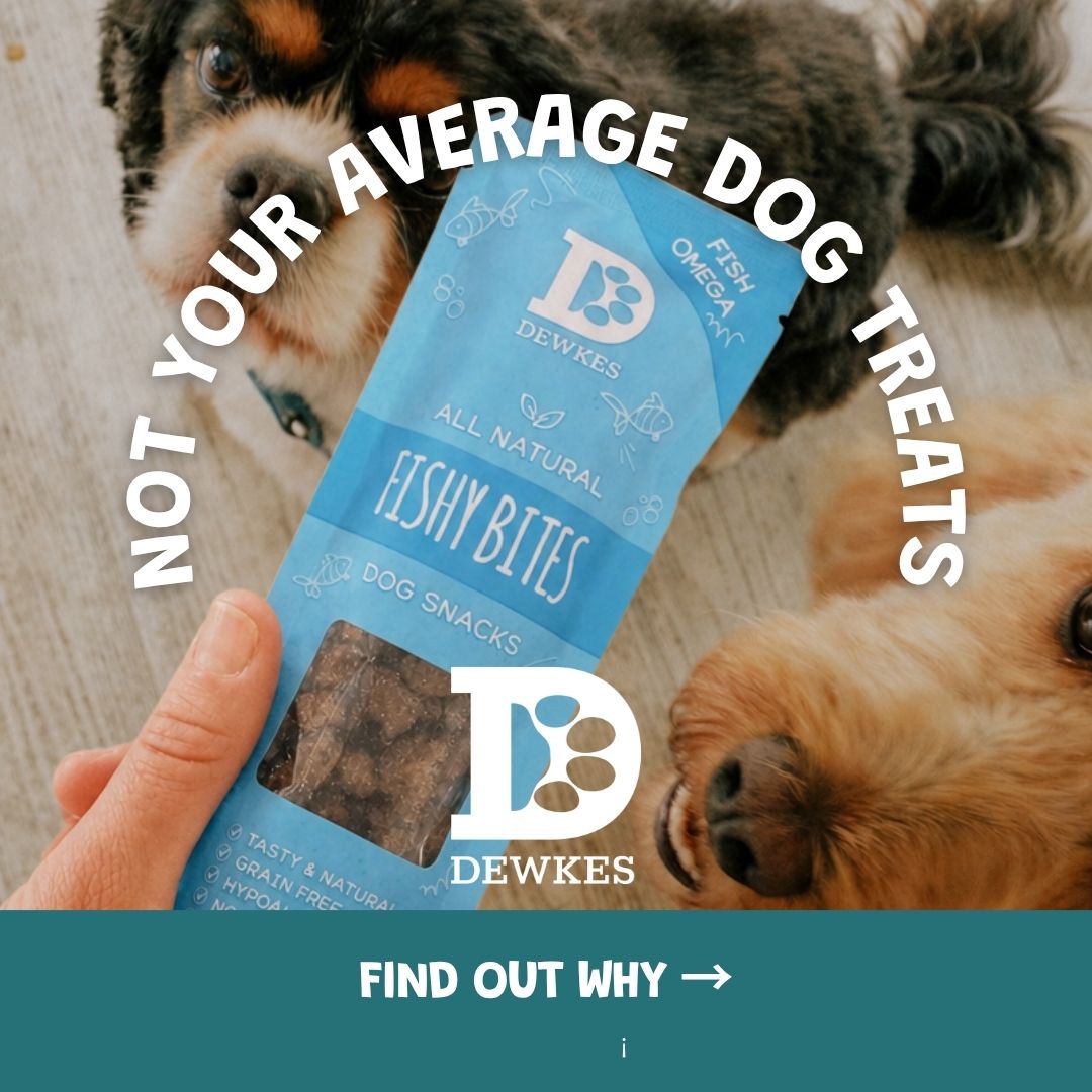 Dewkes Facebook ad