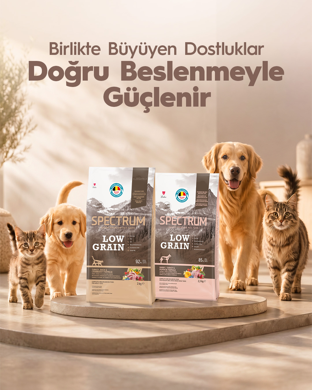 Spectrum Pet Food Facebook ad: Evcil dostların birlikte büyümesi, yalnızca paylaşılan…