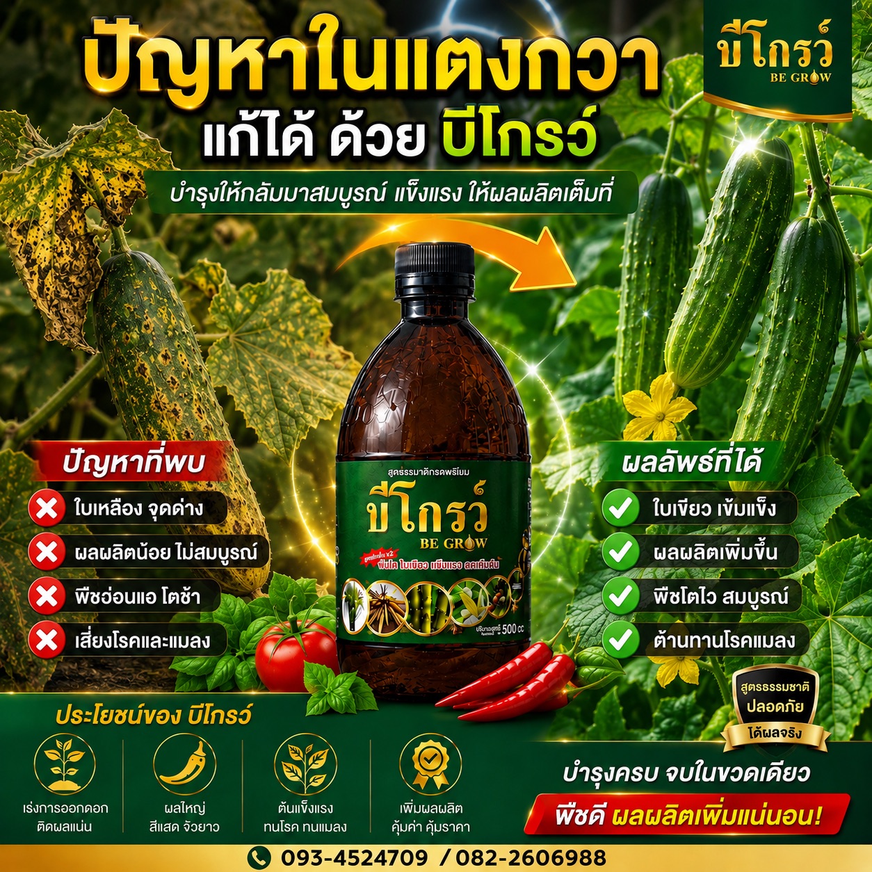 บีออร์แกนิคพลัส เพจหลัก ของแท้จากบริษัท โทร.082-2606988/093-4524709 Facebook ad: แตงกวาใบเหลือง จุดด่าง ผลผลิตลด? อย่าปล่อยไว้จนสายเกินแก้!