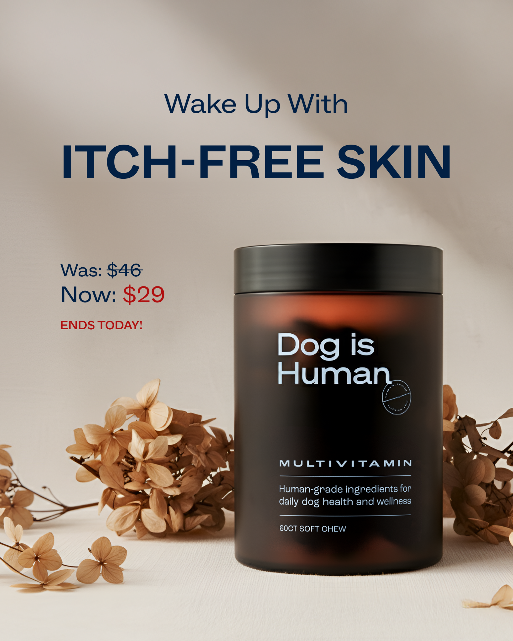 Dog is Human Facebook ad