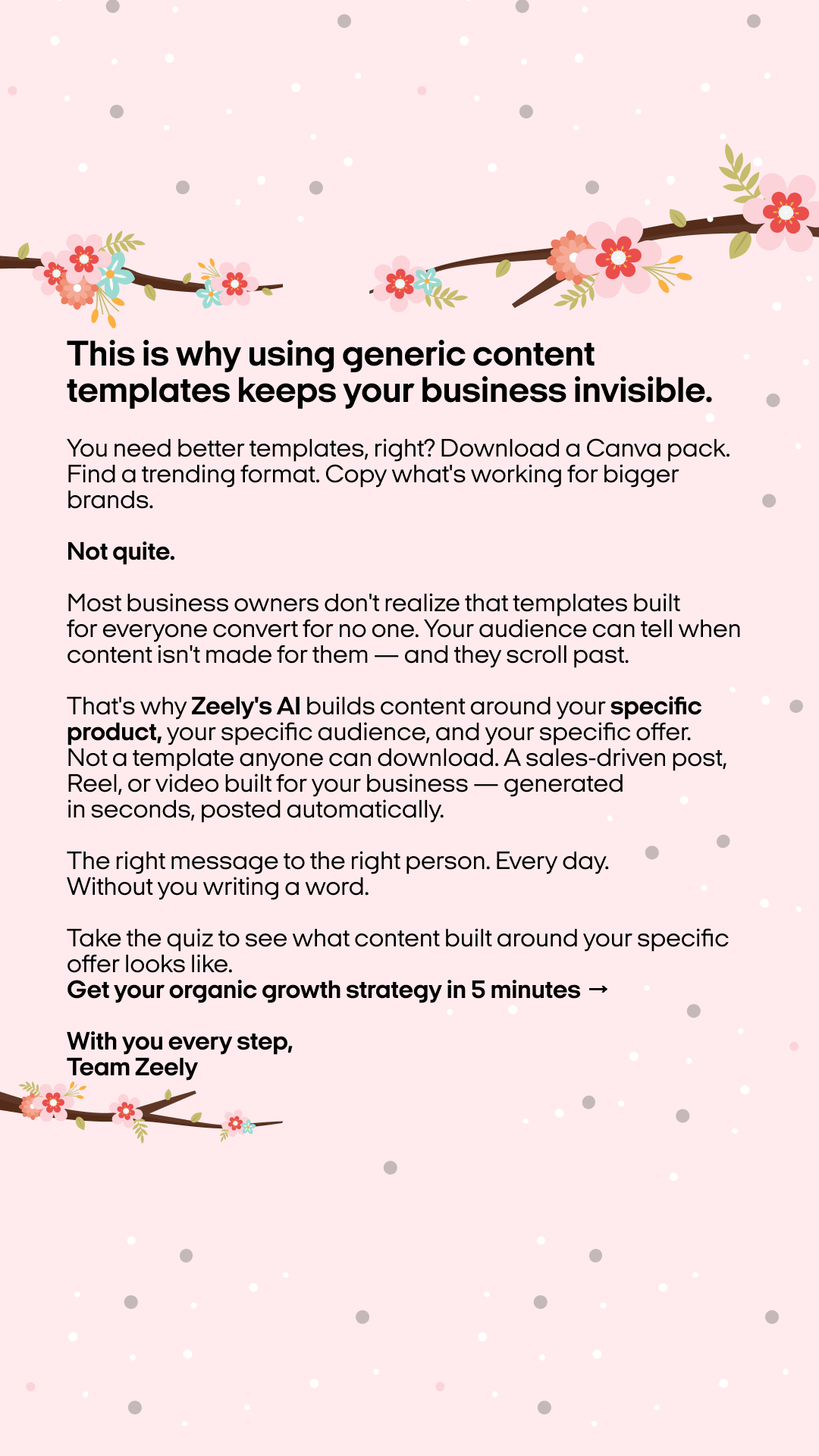 Zeely Facebook ad