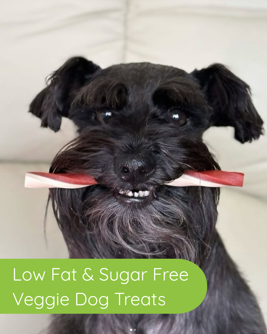 Mak's Patch NZ/AU Facebook ad: Worried about what’s in your dog’s treats?
