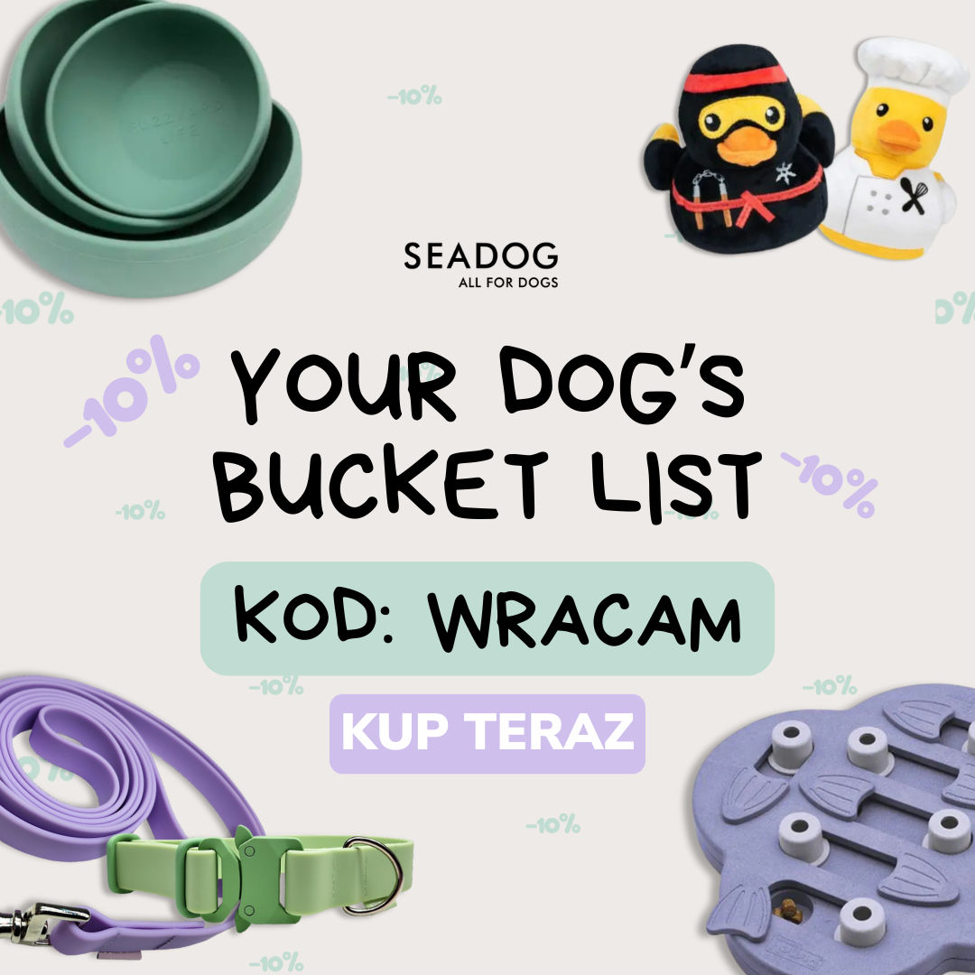 SEADOG Facebook ad from Jan 2, 2025