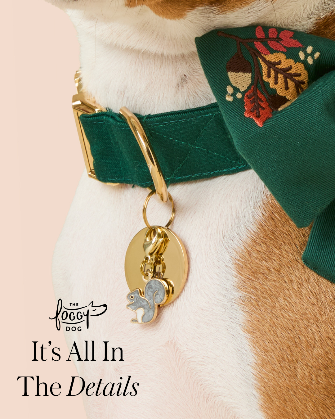 The Foggy Dog Facebook ad