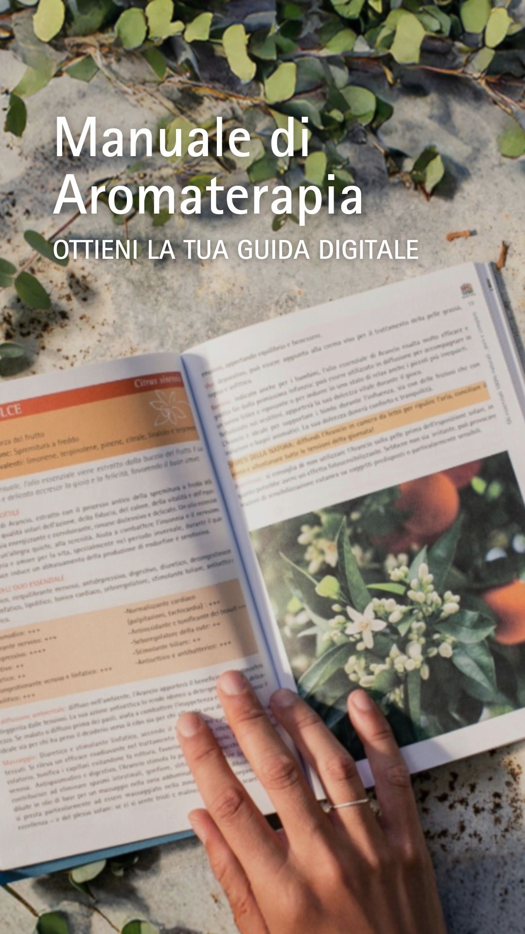 Olfattiva Oli essenziali Facebook ad from Apr 7, 2025