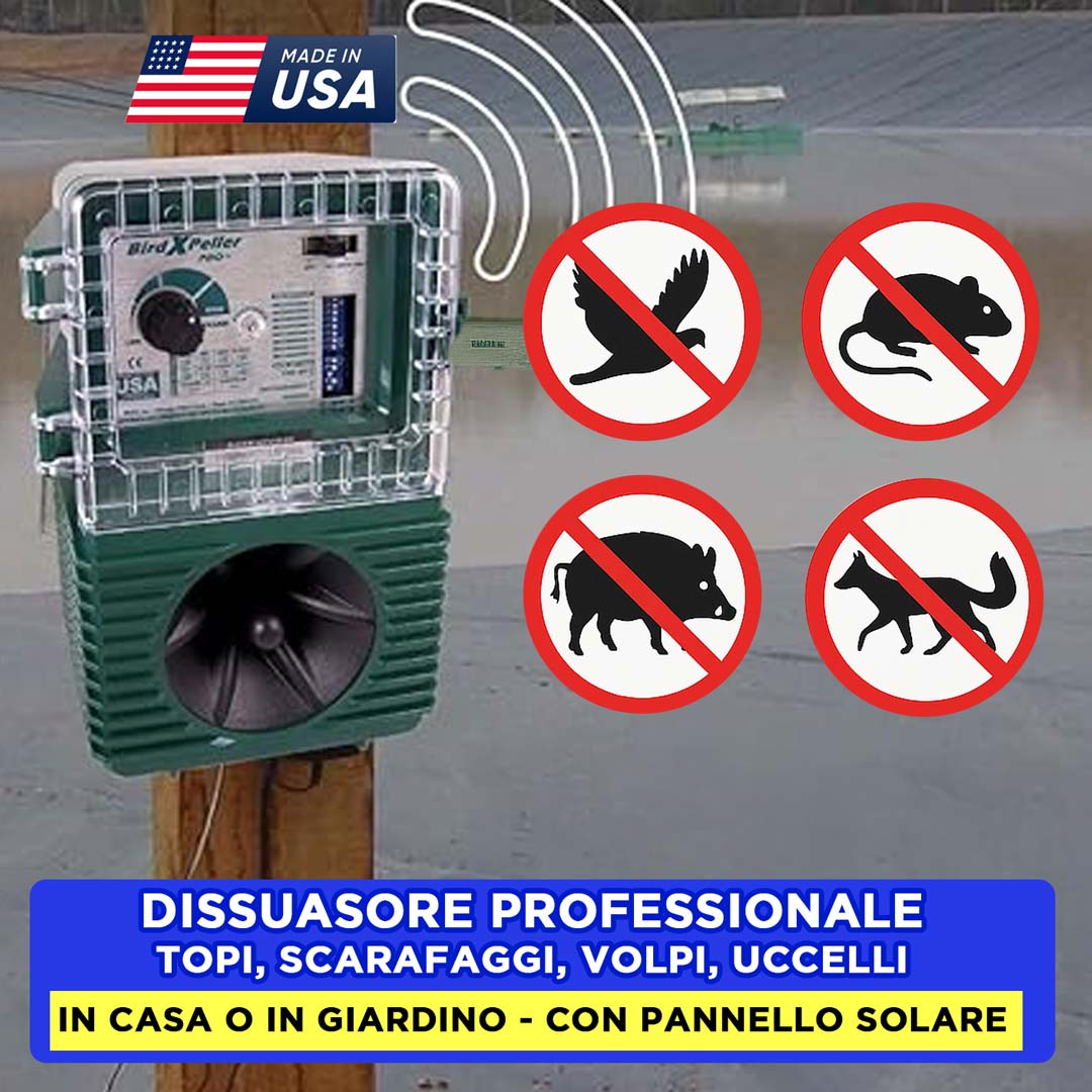 Praktiko Facebook ad: Promo caldo in arrivo